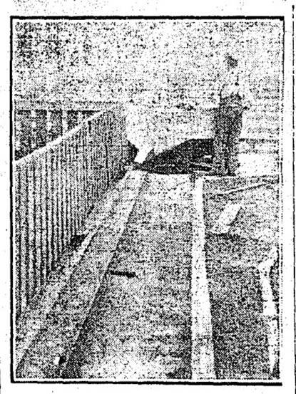 Showing food tank on turntable at angle of trough