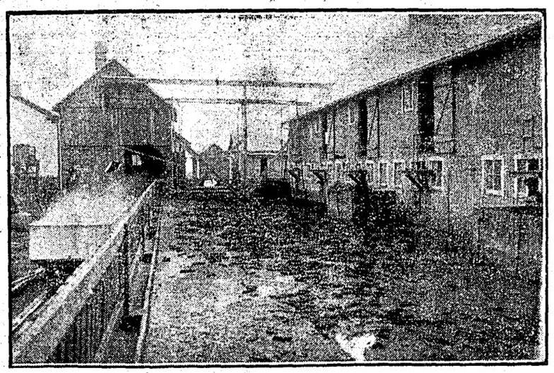 Cook house, food tank, cement trough and feeding floor